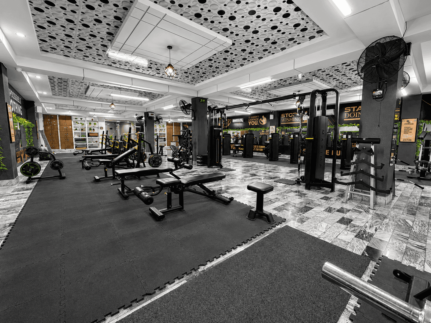 Free-Weight & Dumbbell Training Area