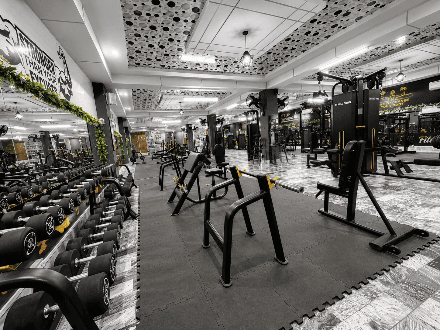 Free-Weight Area