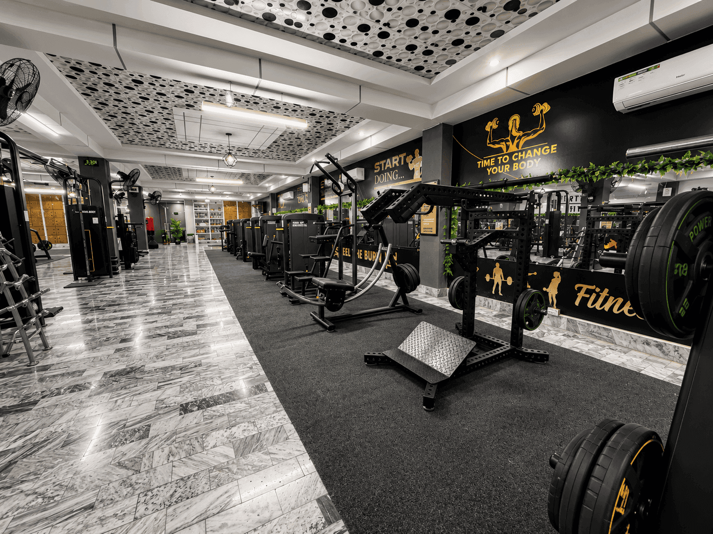 Heavy-Duty Olympic Barbells & Free-Weight Area